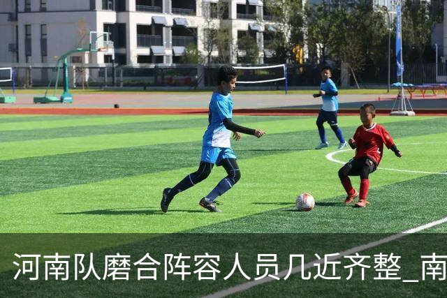 河南队磨合阵容人员几近齐整 南基一剑指中超前六